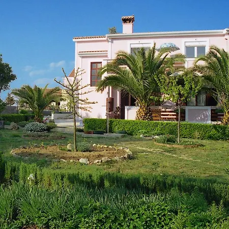 Mario * Privlaka (Zadar)